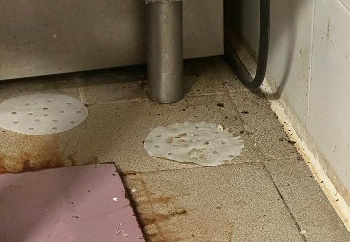 Cucine da incubo tra scarafaggi (vivi e morti), sporcizia diffusa e cibi scaduti