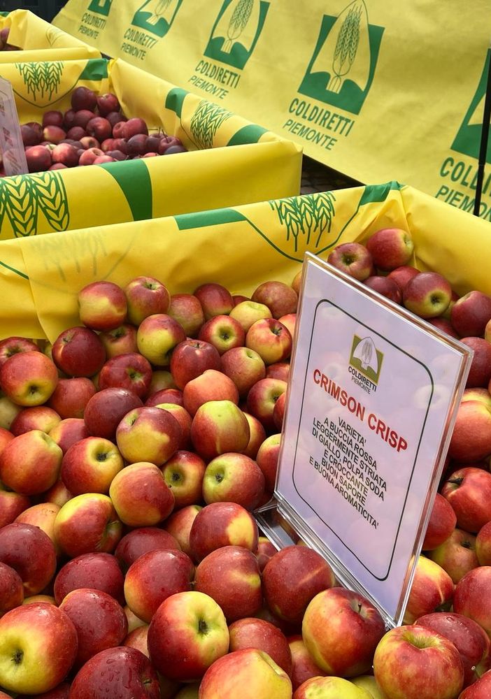 Boom di export per il cibo piemontese: export per oltre 6 miliardi