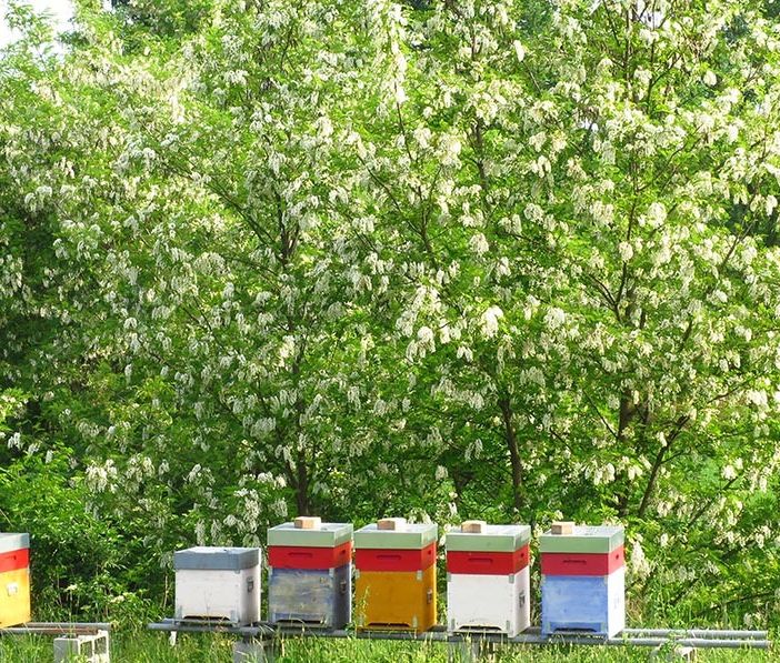 L'agricoltura sostenibile fa bene all'ambiente. Un'indagine di Coldiretti