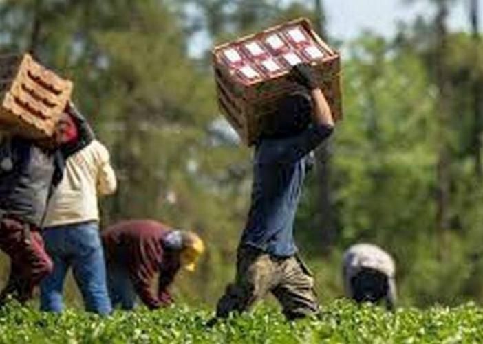 Lotta al caporalato e sistema di accoglienza, Saluzzo e il Piemonte sono un modello positivo a livello nazionale