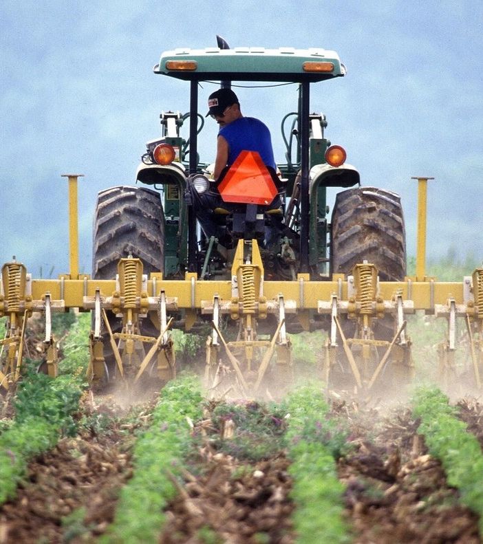 Coldiretti lancia l'allarme, nei campi italiani mancano almeno centomila lavoratori
