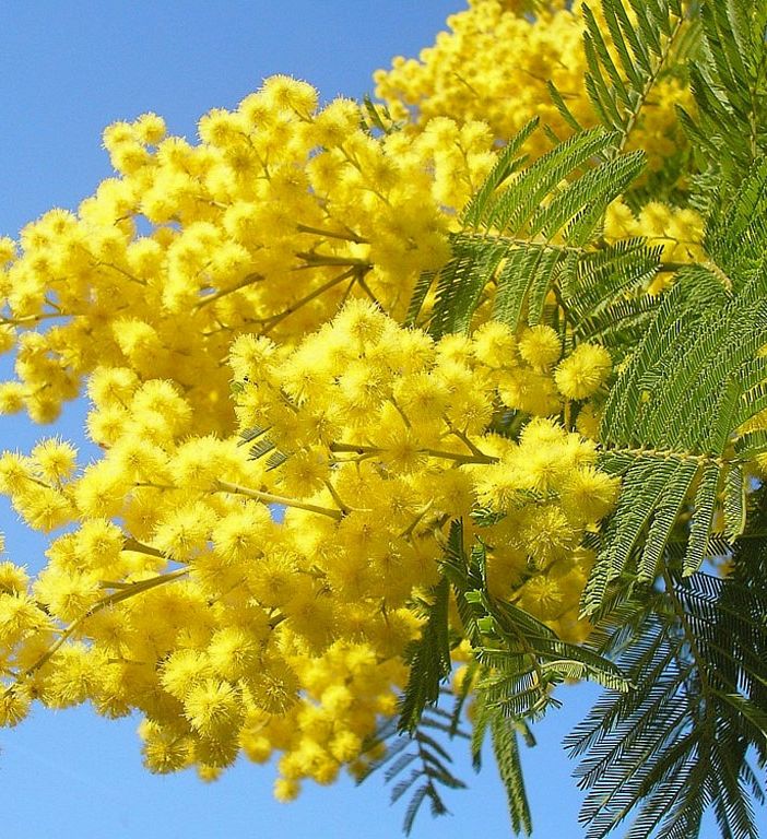 8 Marzo, le imprenditrici: non possiamo più accontentarci delle quote rosa