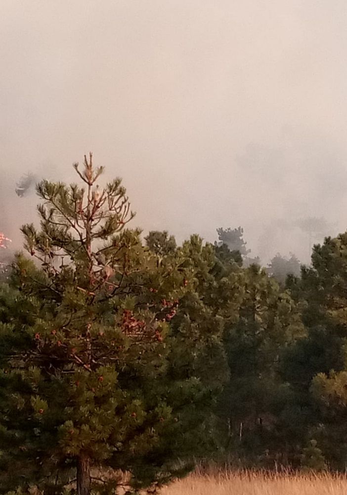 Dichiarato lo stato di massima pericolosità per incendi boschivi su tutto il territorio piemontese.