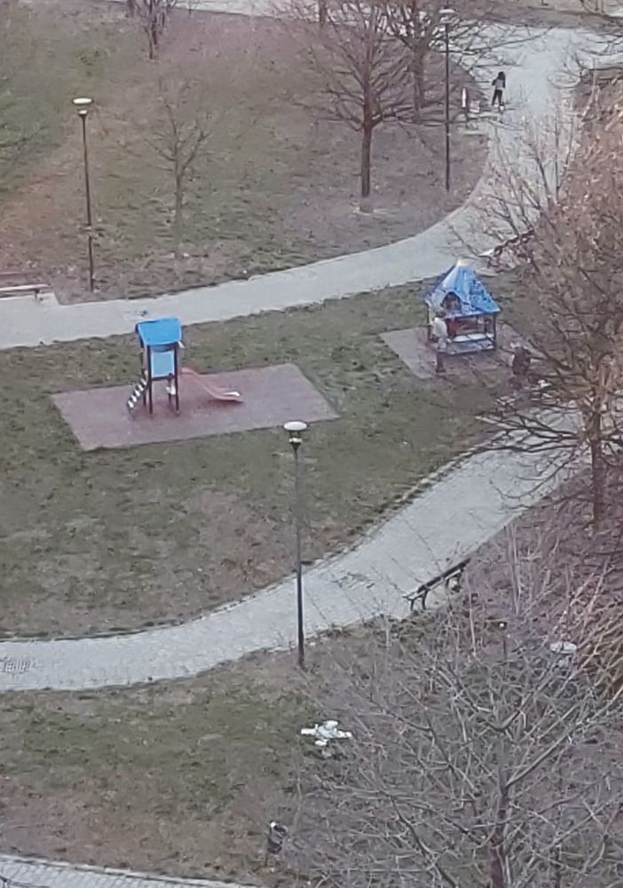 Al via la riparazione di oltre 500 panchine nei giardini e parchi torinesi