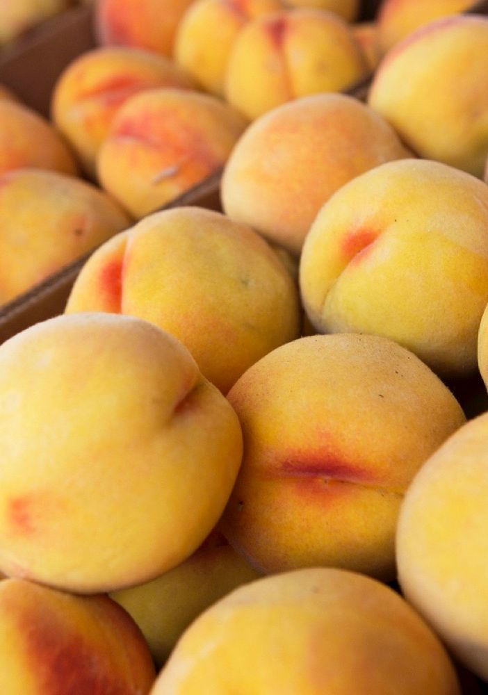 Coldiretti Piemonte: nel clou della raccolta frutta attenzione a prezzi e provenienza