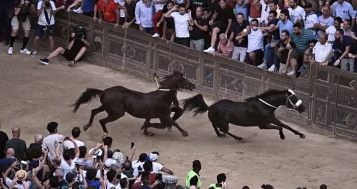 Palio di Siena: e se la smettessimo con certe tradizioni?
