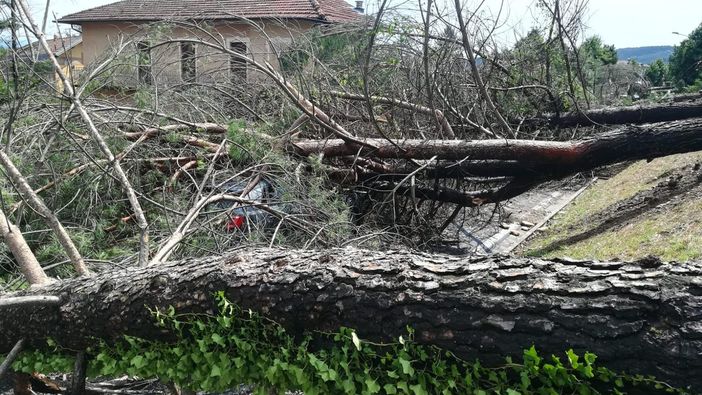 Maltempo in Piemonte, la Regione chiede lo stato di calamità