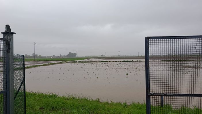 Maltempo, il Piemonte chiede lo stato di emergenza: «situazione critica, serve intervento urgente» Maltempo, il Piemonte chiede lo stato di emergenza: «situazione critica, serve intervento urgente»
