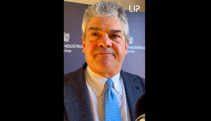 Amalberto, Confindustria Piemonte: «Per misurare la CO2 si guardi al processo nell'insieme» [video]