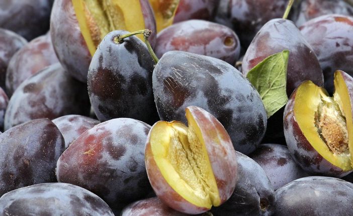 Quotazioni insostenibili per la frutta destinata all’industria