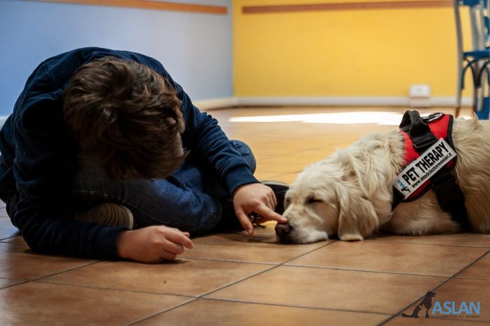 Piemonte, Pet Therapy, il 13 giugno incontro con tutte le associazioni, si ricomincia