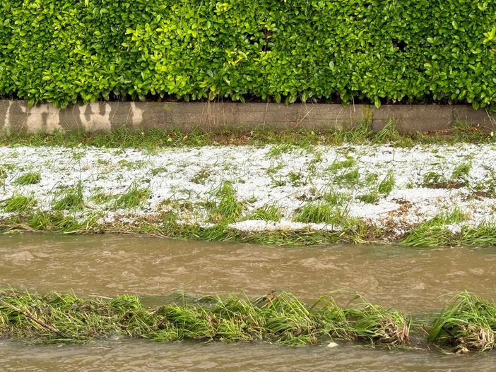 Grandinata nel Torinese, i danni all'agricoltura sono ingenti, a rischio grano e fieno, serre scoperchiate