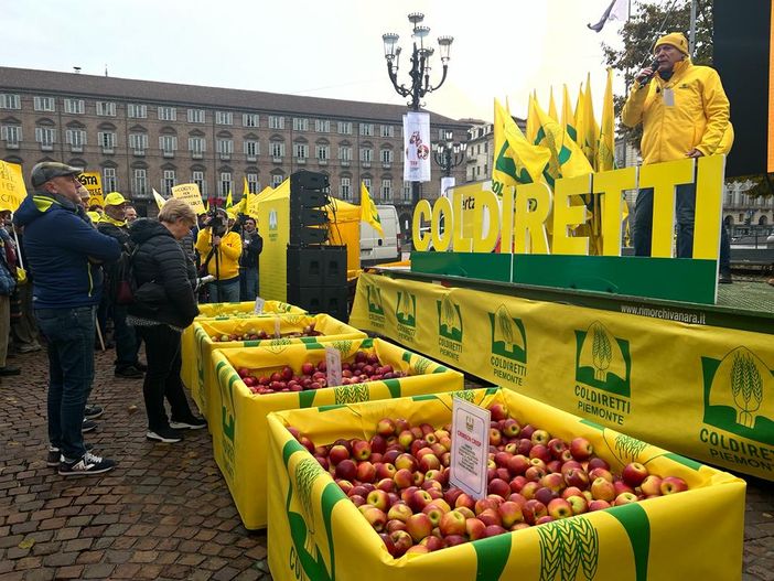 SoS frutta: gli agricoltori con 4 kg di mele comprano 1 caffè [video]