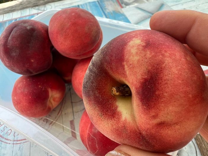 Inflazione: il caldo spinge i consumi ma per frutta e verdura i prezzi triplicano