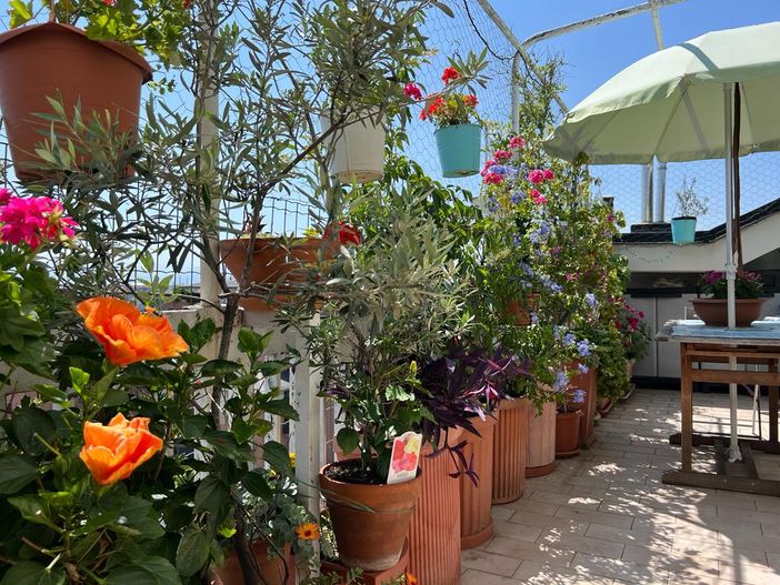 Cortili condominiali e balconi delle case popolari: il Piemonte premia i più belli Cortili condominiali e balconi delle case popolari: il Piemonte premia i più belli