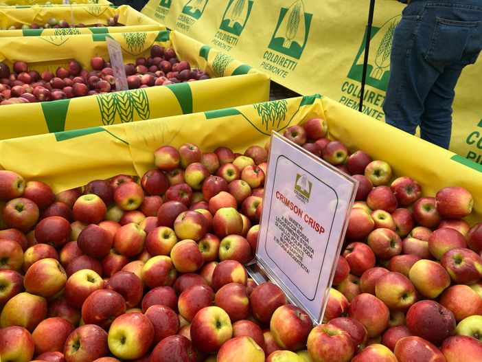 Boom di export per il cibo piemontese: export per oltre 6 miliardi