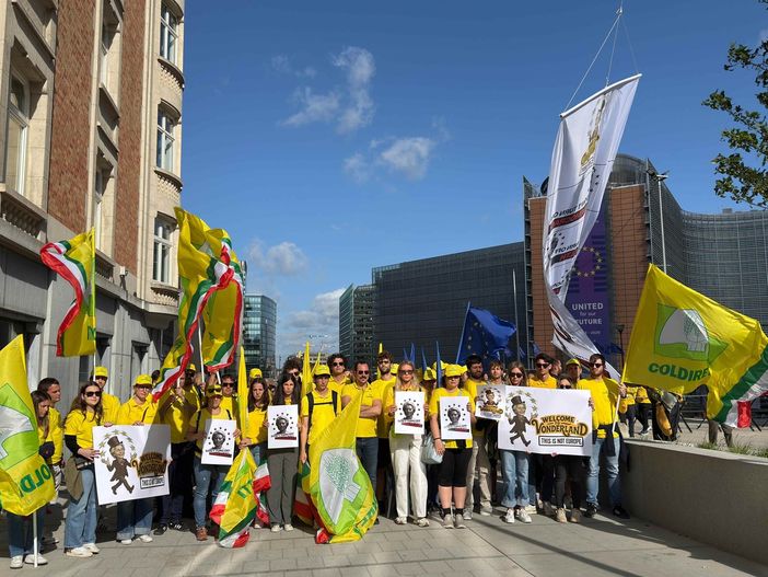 La Commissione minaccia l'agricoltura, Coldiretti piemonte vola a Bruxelles La Commissione minaccia l'agricoltura, Coldiretti piemonte vola a Bruxelles