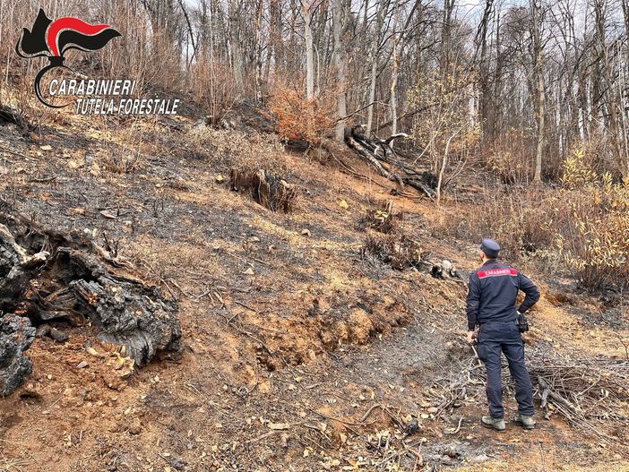 Lotta agli incendi boschivi in Piemonte, in due mesi già venti le persone denunciate Lotta agli incendi boschivi in Piemonte, in due mesi già venti le persone denunciate