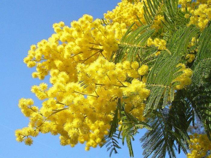 8 Marzo, le imprenditrici: non possiamo più accontentarci delle quote rosa