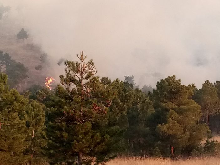 Dichiarato lo stato di massima pericolosità per incendi boschivi su tutto il territorio piemontese.