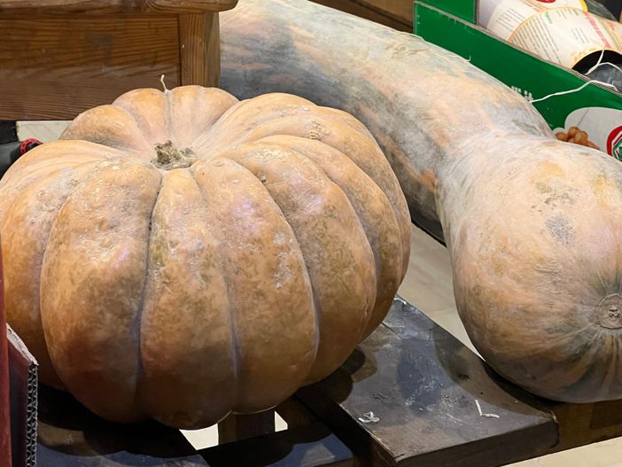 Come Halloween, importiamo anche le zucche Come Halloween, importiamo anche le zucche