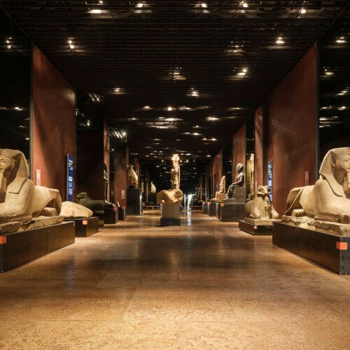 Museo Egizio, via libera alla proroga della Fondazione fino al 2064 Museo Egizio, via libera alla proroga della Fondazione fino al 2064
