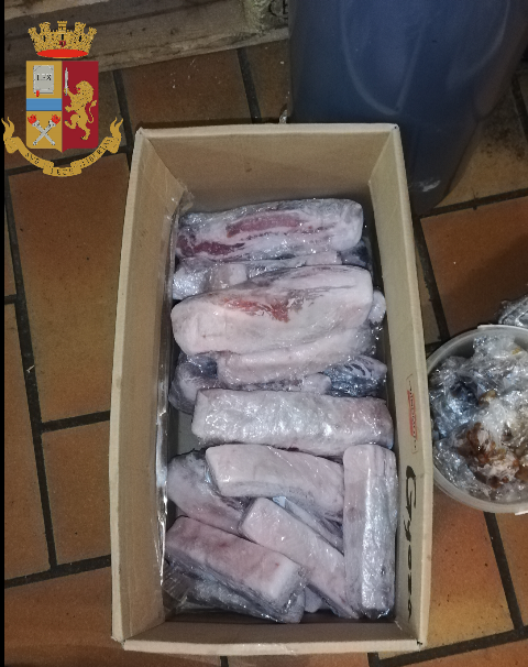 San Salvario, controlli della Polizia, chiusa per droga gastronomia senegalese e per sporcizia ristorante giapponese: 134 kg di alimenti mal conservati
