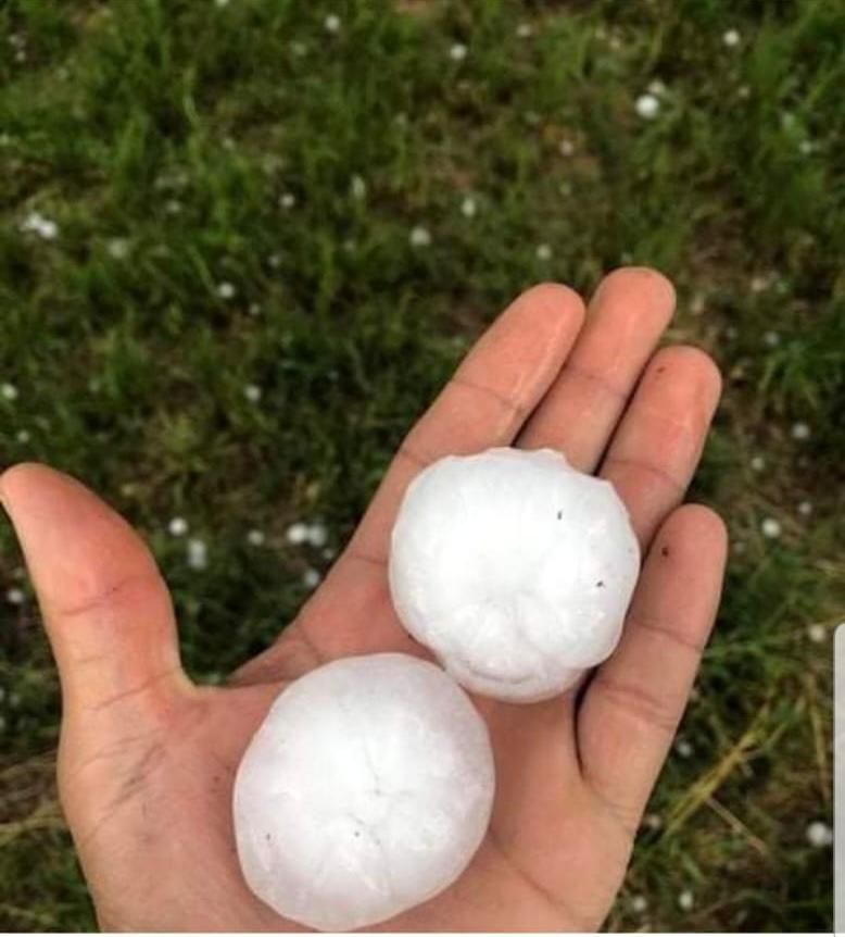 Grandinate, danni da bollettino di guerra. Coldiretti: non è semplice emergenza