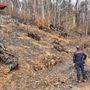 Lotta agli incendi boschivi in Piemonte, in due mesi già venti le persone denunciate Lotta agli incendi boschivi in Piemonte, in due mesi già venti le persone denunciate