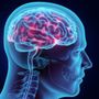 Epilessia, nascerà una rete dedicata all'interno di Neurologia di Azienda Zero