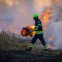 Piemonte, stato di massima pericolosità per gli incendi boschivi Piemonte, stato di massima pericolosità per gli incendi boschivi