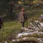 Aperta la caccia alla fauna tipica alpina, specie già in sofferenza Aperta la caccia alla fauna tipica alpina, specie già in sofferenza