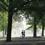 Per contrastare le isole di calore in città aumentiamo aree verdi e alberate