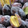 Quotazioni insostenibili per la frutta destinata all’industria Quotazioni insostenibili per la frutta destinata all’industria