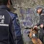 Nasce il primo gruppo cinofilo regionale della Polizia locale Nasce il primo gruppo cinofilo regionale della Polizia locale