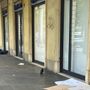 Senzatetto in corso Vinzaglio, la situazione è diventata cronica e intollerabile