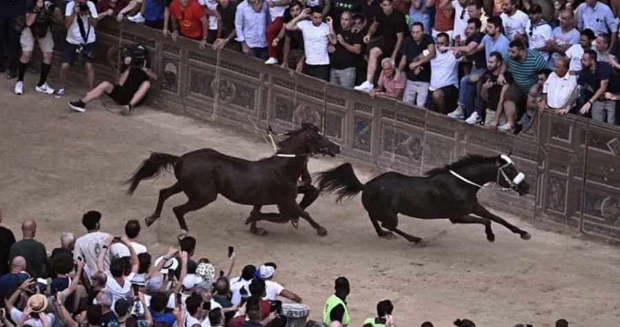 Palio di Siena: e se la smettessimo con certe tradizioni?