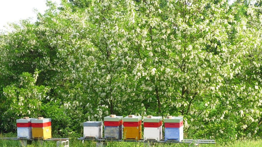 L'agricoltura sostenibile fa bene all'ambiente. Un'indagine di Coldiretti