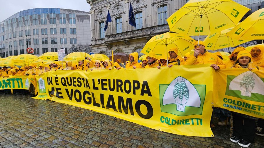 Agricoltori in piazza a Bruxelles contro la burocrazia e l'aumento dei costi: “Vogliamo risposte tempestive e certe” Agricoltori in piazza a Bruxelles contro la burocrazia e l'aumento dei costi: “Vogliamo risposte tempestive e certe”