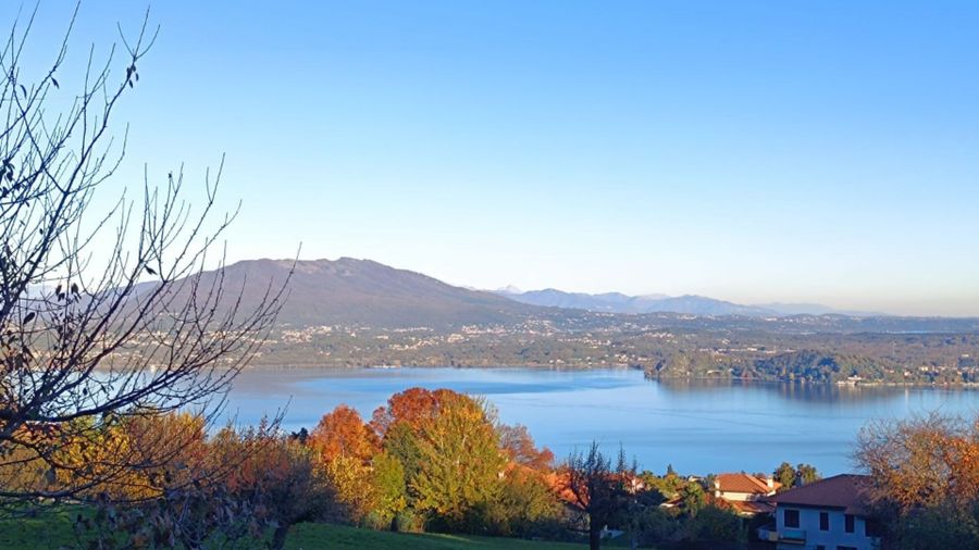 “Sapori d'autunno” sul Lago Maggiore, rassegna per valorizzare la gastronomia dell'Alto Vergante “Sapori d'autunno” sul Lago Maggiore, rassegna per valorizzare la gastronomia dell'Alto Vergante