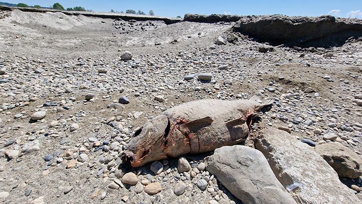 Esondazioni e frane del 18 aprile, danni in Piemonte per tre milioni di euro