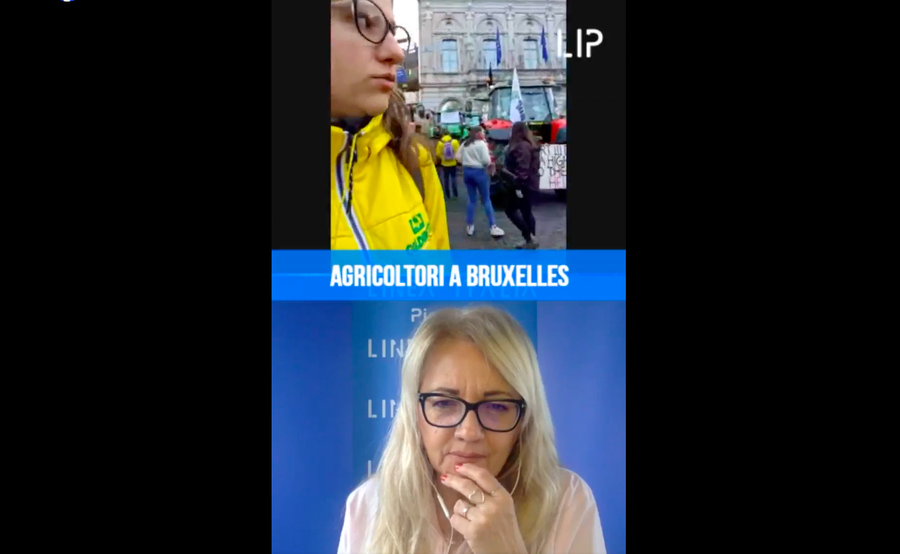 SOCIAL TV - Da tutta Europa gli agricoltori a Bruxelles [diretta]