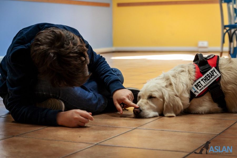 Piemonte, Pet Therapy, il 13 giugno incontro con tutte le associazioni, si ricomincia Piemonte, Pet Therapy, il 13 giugno incontro con tutte le associazioni, si ricomincia