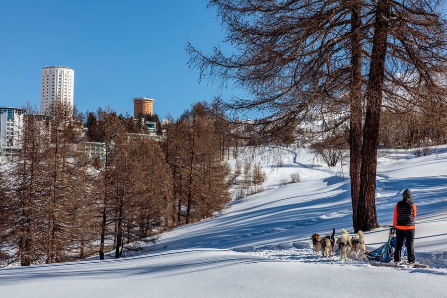 Quasi 17 milioni di presenze, nel 2024 il turismo in Piemonte è da record
