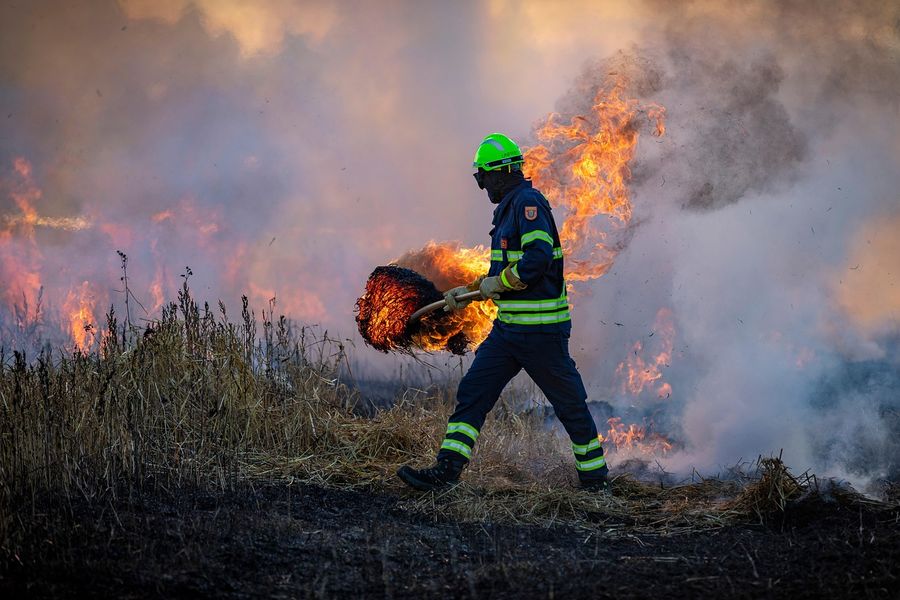 Piemonte, stato di massima pericolosità per gli incendi boschivi Piemonte, stato di massima pericolosità per gli incendi boschivi