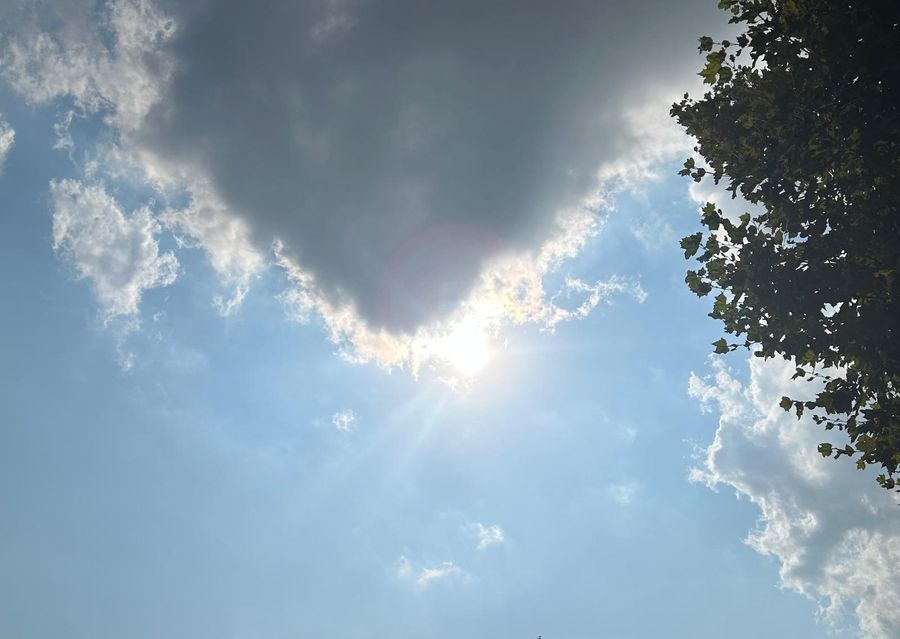 Ancora una giornata bollente in Piemonte, a Torino il call center per gli anziani e centri di accoglienza climatizzati Ancora una giornata bollente in Piemonte, a Torino il call center per gli anziani e centri di accoglienza climatizzati