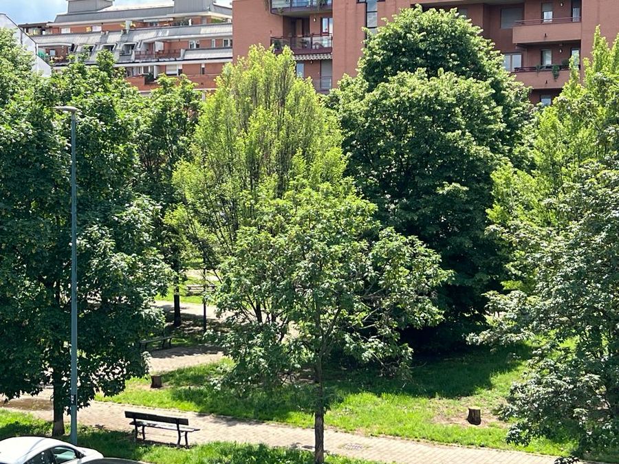 Offerte di lavoro per ragionieri e agronomi a Torino e provincia