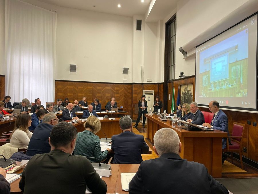 Cirio e Tronzano: solo il 20% degli incentivi sono usati per acquistare auto italiane Cirio e Tronzano: solo il 20% degli incentivi sono usati per acquistare auto italiane