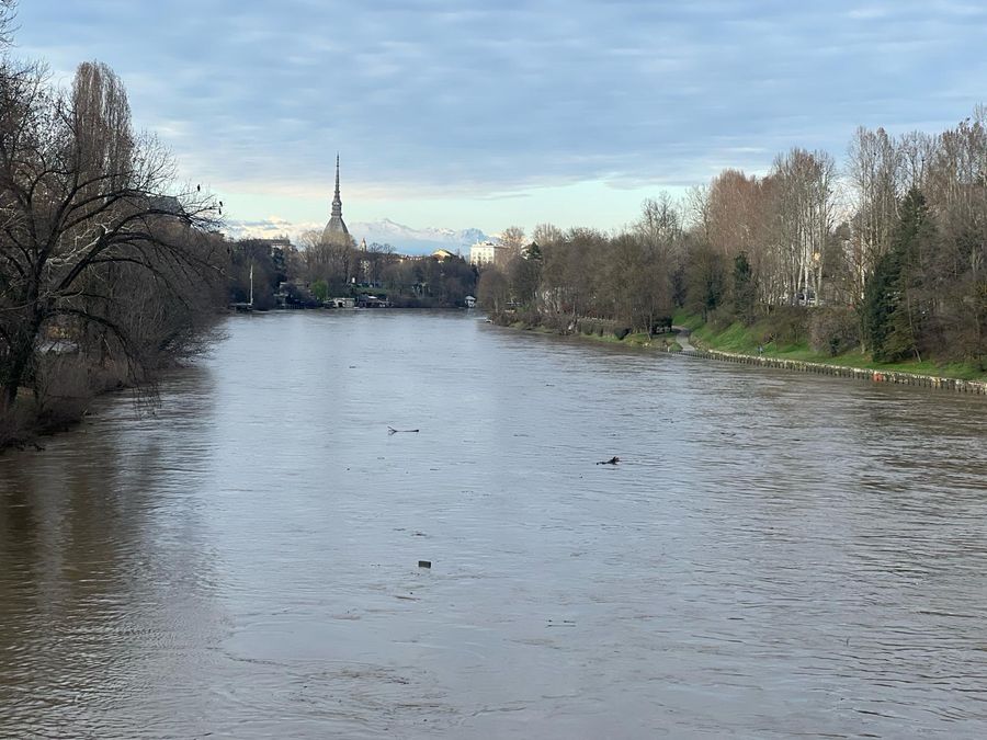 Ci mancava solo il corso di “autodifesa contro il negazionismo climatico”