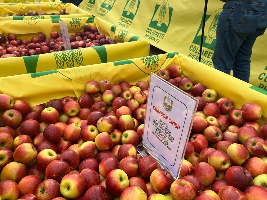 Boom di export per il cibo piemontese: export per oltre 6 miliardi Boom di export per il cibo piemontese: export per oltre 6 miliardi